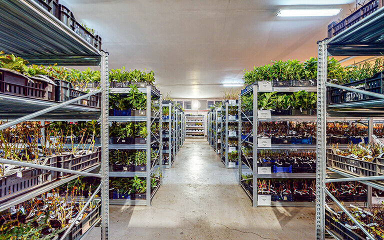 Tur virtual 360 pentru depozitul Gradinamax | OMNIvision